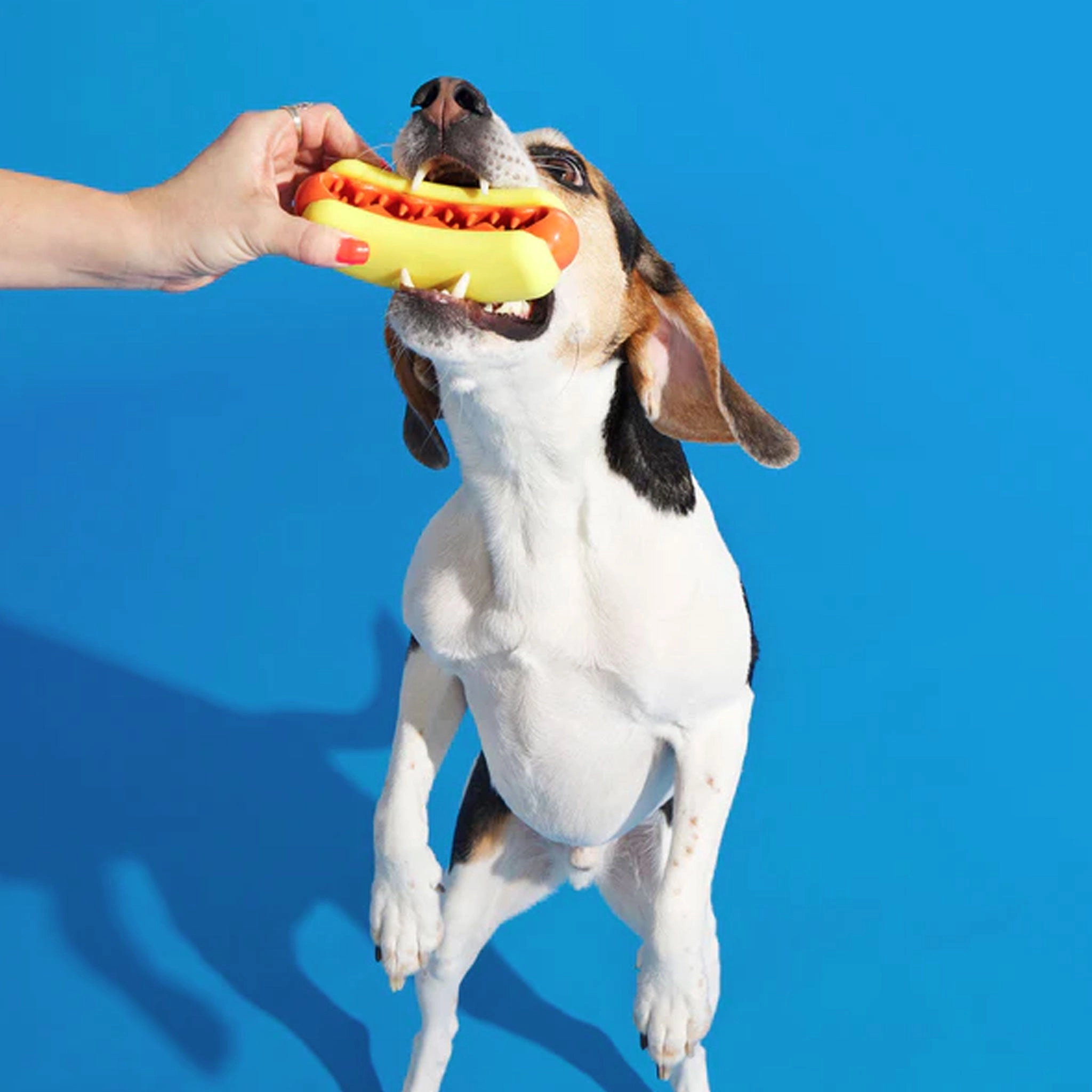 Bark Treat Meat Hotdog Dog Toy