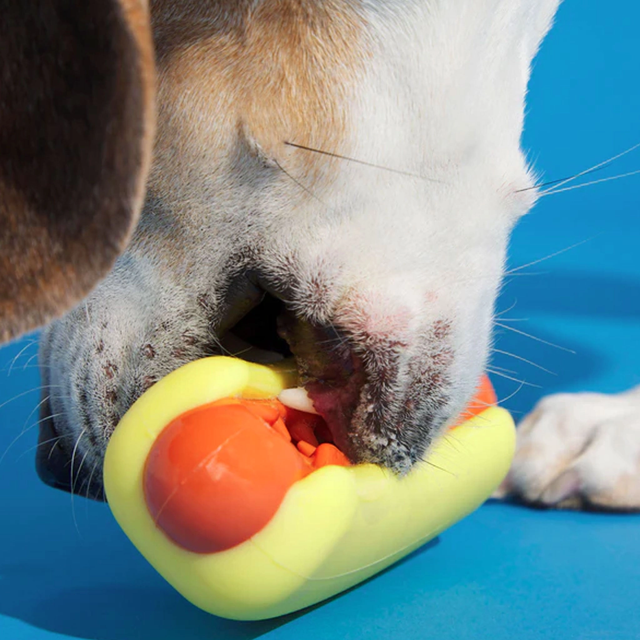 Bark Treat Meat Hotdog Dog Toy