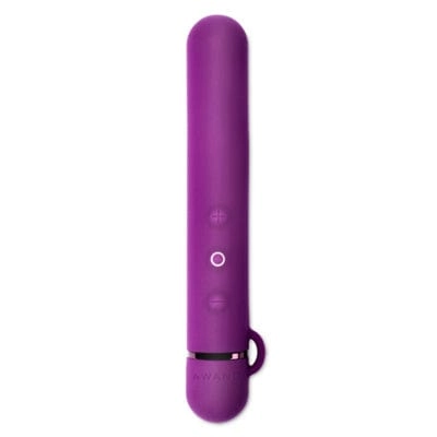 Le Wand Baton Vibrator