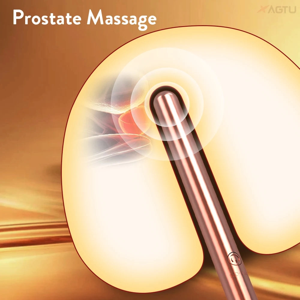 Metallic Anal Vibrator Prostate Massager Butt Plug