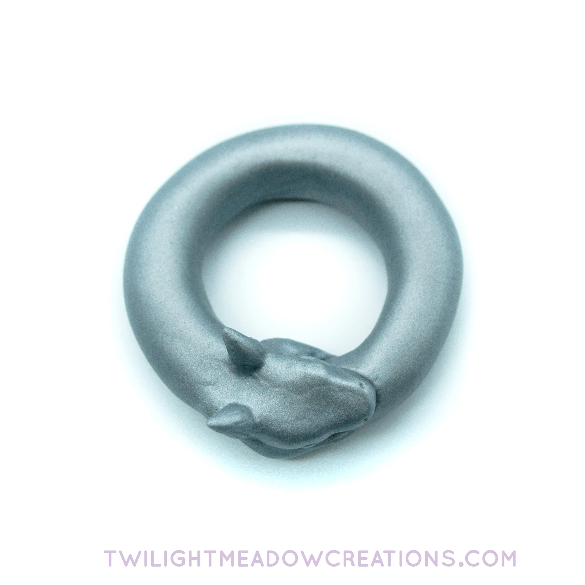 Ouroboros C-Ring