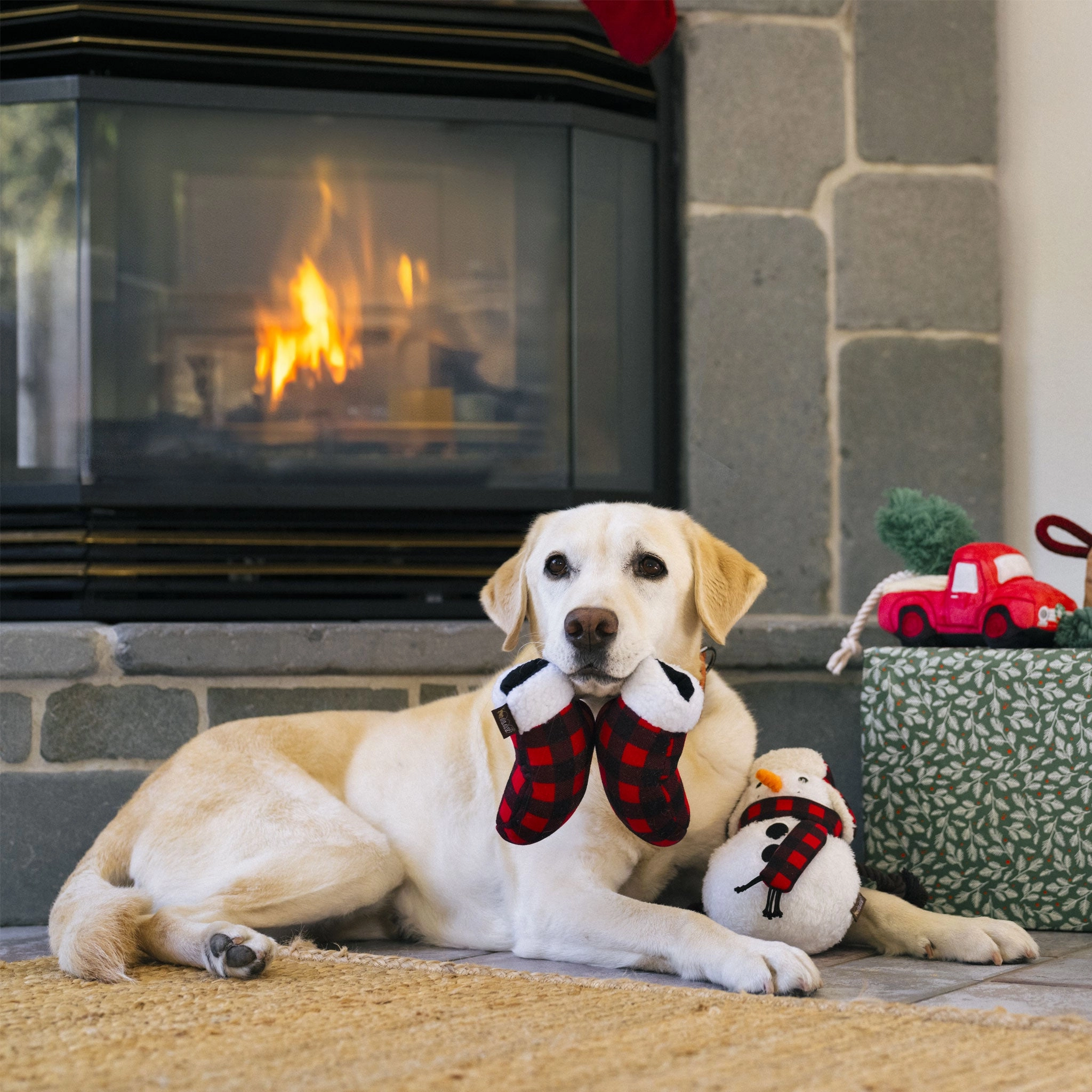 P.L.A.Y. Holiday Mittens Red & Black Dog Toys