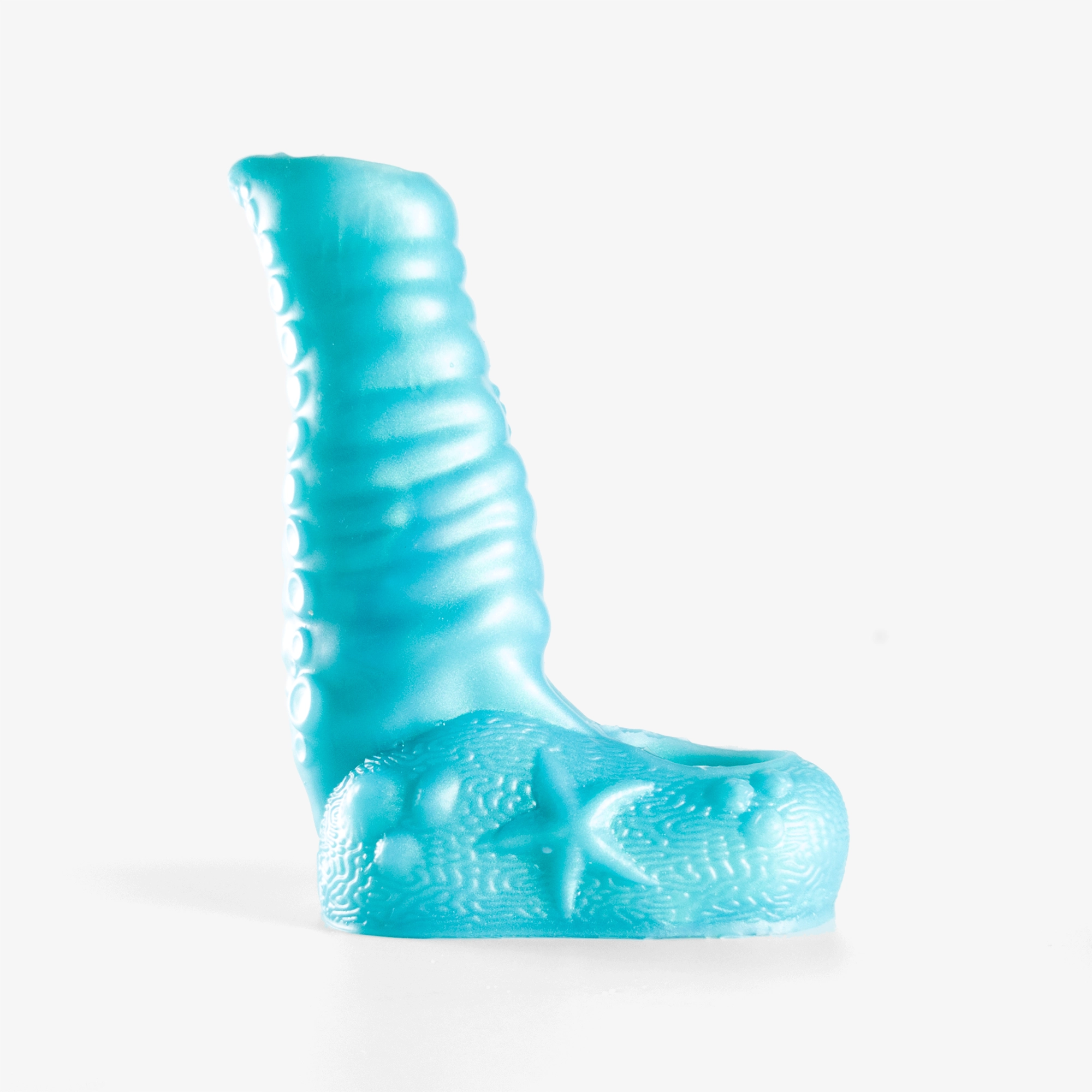 The Tentacle Sheath