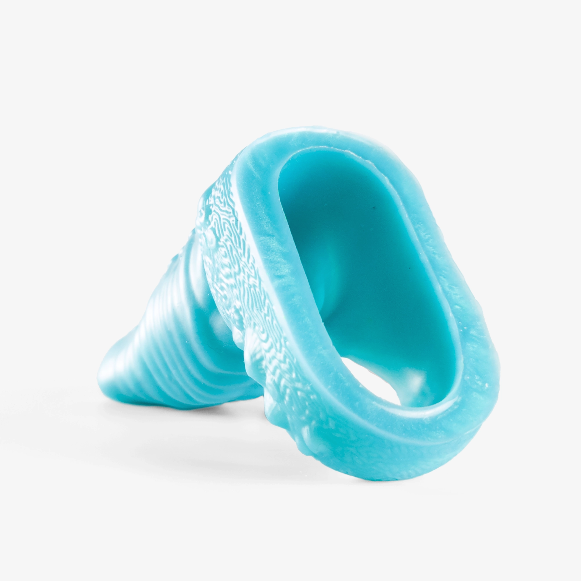 The Tentacle Sheath